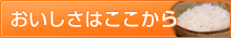 食品事業部